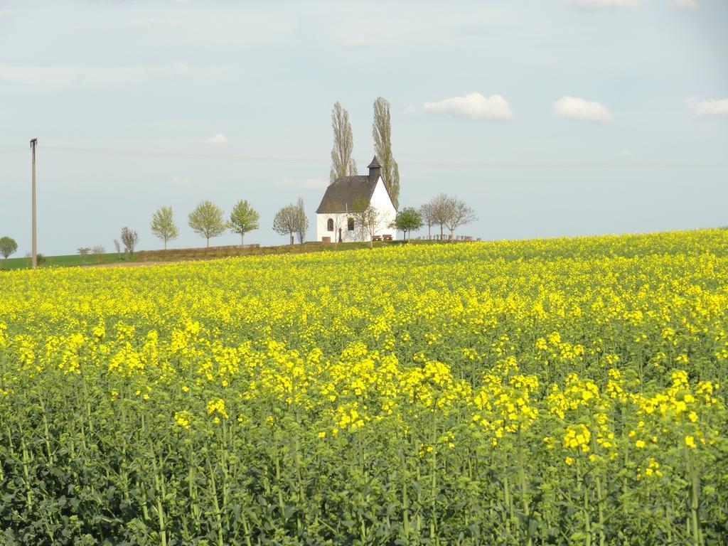 Ferienwohnung Vogt Mertloch Rom bilde